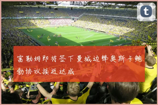 富勒姆即将签下曼城边锋奥斯卡鲍勃协议接近达成
